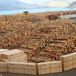 پیشنهاد خرید چوب روس از خاوران تهران! (فروشگاه ددی وود)